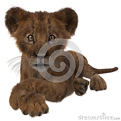 Cute lion cub lying down with paws crossed Stock Photo