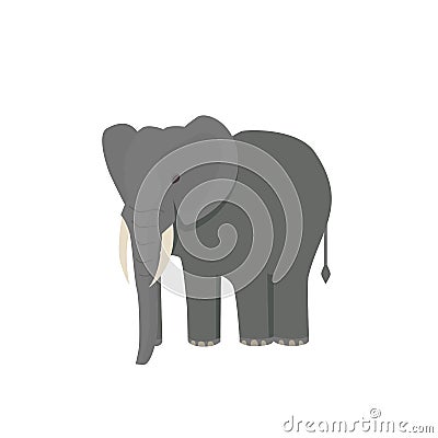 Cute little african elephant isolated on white. Baby animal african zoo vector illustration. Vector Illustration