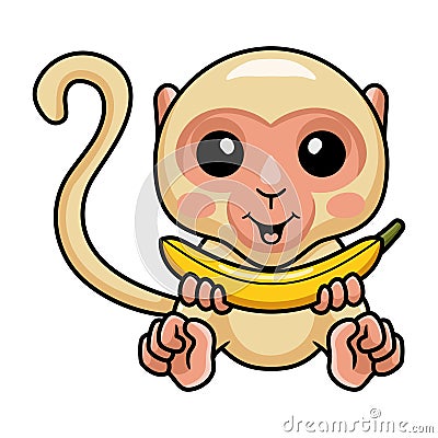 Cute little albino monkey cartoon holding a banana Vector Illustration