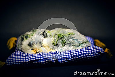 Cute Little Baby Animal Sleeping Soundly Stock Photo