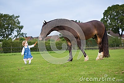 Cute little baby girl feeding big horse on ranch Stock Photo