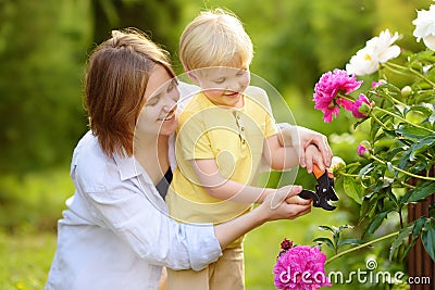 Cute little boy with his young mother working together with secateur in domestic garden. Floriculture, gardening, small business. Stock Photo