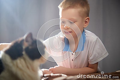 Cute little boy playing with a white and black cat in photo studio with white fabric background. Concept of friendship Stock Photo