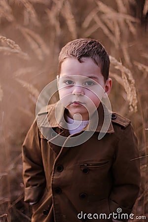 Cute little boy standing in a field. Stock Photo