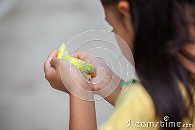 Little budgie bird on child hand. Asian child girl play with her pet bird with gentle Stock Photo