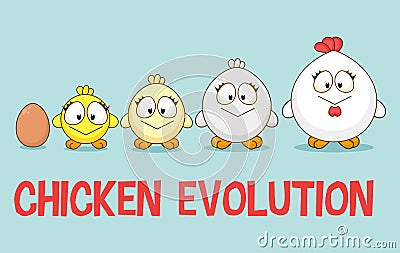 Cute Little Chicken in different ages growth stages. Cultivation of Chicken cartoon concept. Rooster evolution. Farm animal Vector Illustration