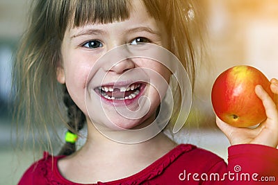 A cute little curly toothless girl smiles and holds a red apple. Portrait of a happy baby eating a red apple. The child loses milk Stock Photo