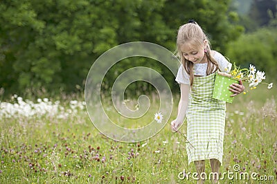 Cute little girl harvesting flowers Stock Photo