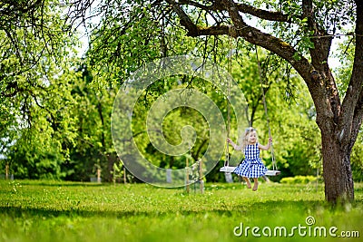 Cute little girl having fun on a playground outdoors Stock Photo