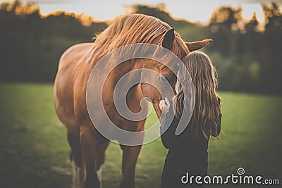 Cute little girl with her horse on a lovely meadow Stock Photo