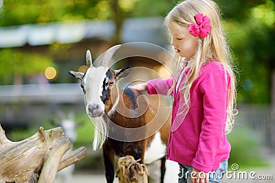 Cute little girl petting and feeding a goat at petting zoo. Child playing with a farm animal on sunny summer day. Stock Photo