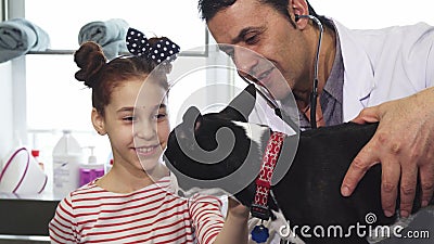 Cute little girl petting her dog during medical examination at the vet clinig Stock Photo