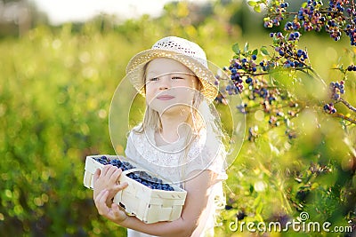 Cute little girl picking fresh berries on organic blueberry farm on warm and sunny summer day. Fresh healthy organic food for kids Stock Photo