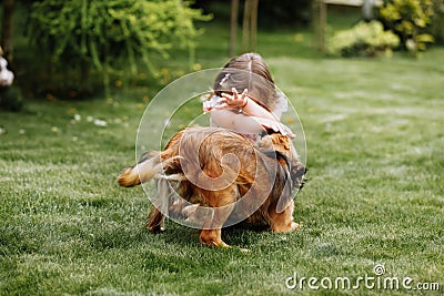 A cute little girl is playing with her pet dog outdooors on grass at home Stock Photo