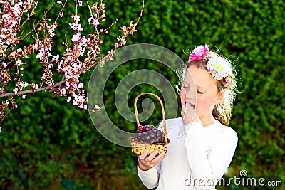 Cute little girl posing with fresh fruit in the sunny garden. Little girl with basket of grapes. Stock Photo