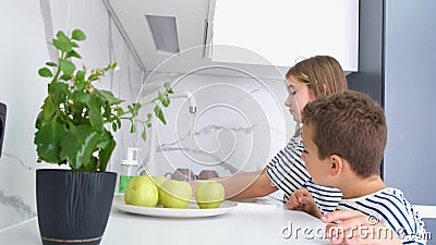 A cute little girl is washing fruits in a modern kitchen with her brother. Children at home. Stock Photo