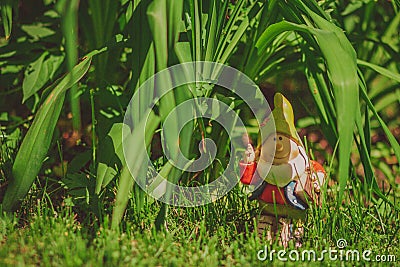 Cute gnome garden model Stock Photo