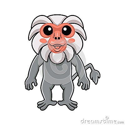 Cute little hamadryad monkey cartoon standing Vector Illustration