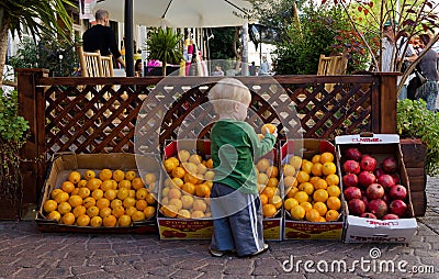 Cute Little kid picking up fruits Editorial Stock Photo