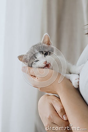 Cute little kitten meowing in hands of woman in rustic dress. Love, care, adoption Stock Photo