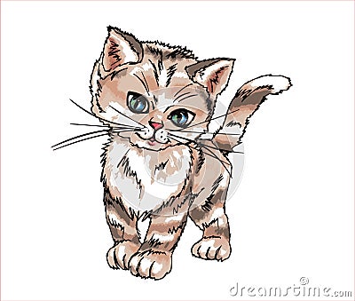 Cute little kitty illustration, kitty print pattern, postcard, cat animal care pets animal cute animals Cartoon Illustration