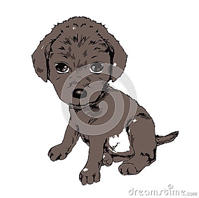 Cute little puppy, cute animal, pet, animal owner, dog, tiny cute animal, cute faithful tiny animal friendly, illustration, Cartoon Illustration