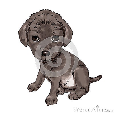 Cute little puppy, cute animal, pet, animal owner, dog, tiny cute animal, cute faithful tiny animal friendly, illustration, Cartoon Illustration
