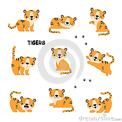 Cute Little Striped Tiger Cub with Orange Fur in Different Pose Vector Set Vector Illustration