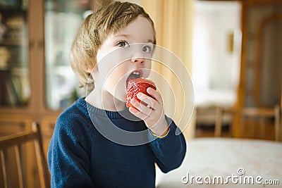 Cute little toddler boy eating strawberry at home. Fresh organic fruits for infants Stock Photo