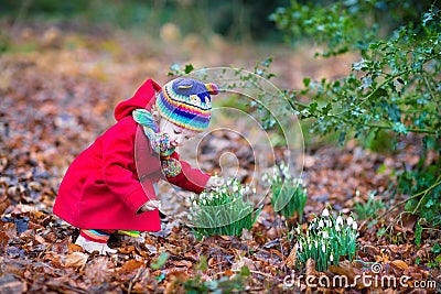 Cute little toddler girl smelling snowdrop flowers Stock Photo