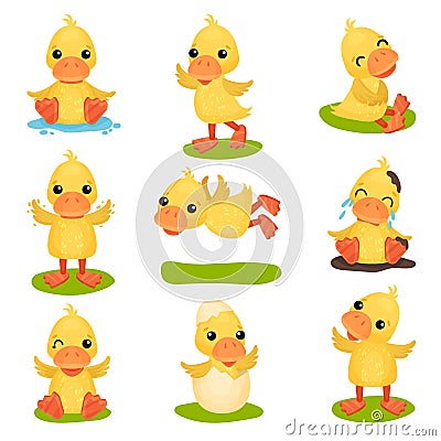 Cute little yellow duckling character set, chick duck in different poses and situations vector Illustrations on a white Vector Illustration