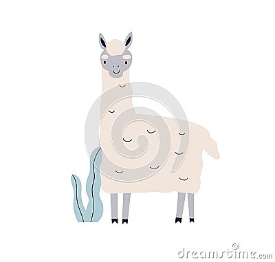 Cute llama. Happy kawaii animal in kids Scandinavian style. Exotic lama character, adorable funny fluffy mammal. Scandi Cartoon Illustration