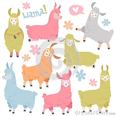 Cute llama set. Baby llamas alpaca, wild lama. Peru camel girl invitation elements cartoon vector set Vector Illustration