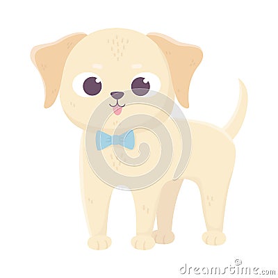 Cute llittle dog standing wtih bow tie domestic cartoon animal, pets Vector Illustration