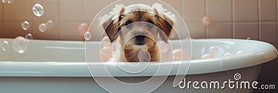 cute lovely small dog wet in bathtub, clean puppy. banner. Generative ai Stock Photo