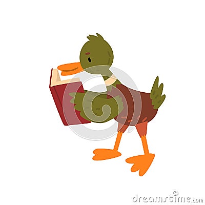 Cute Male Mallard Duck Reading Book, Funny Duckling Cartoon Character Vector Illustration Vector Illustration