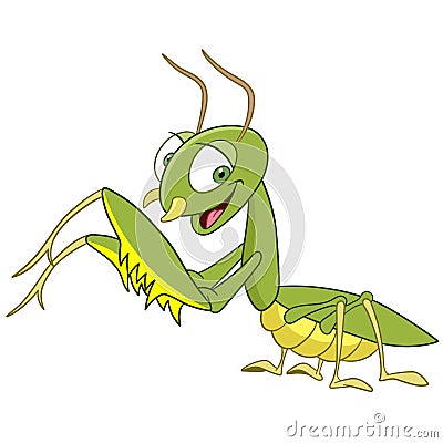 Cute mantis Vector Illustration