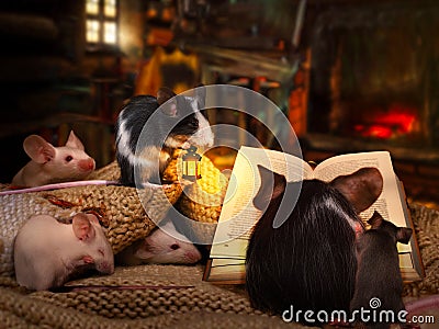 Cute mice reading a book in a cozy house Stock Photo