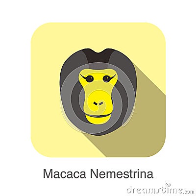 Cute monkey face, Macaca nemestrina flat icon design, vector illustration Vector Illustration