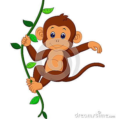 Cute monkey Vector Illustration
