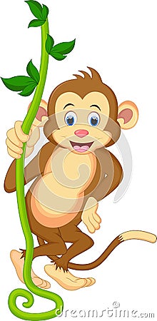 A cute monkey swinging from vines Stock Photo