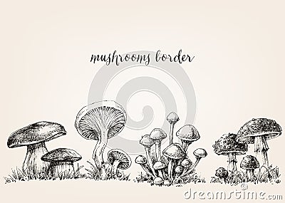 Cute mushrooms drawing Vector Illustration