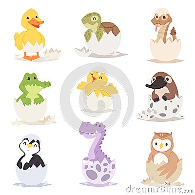 Cute new born animals in eggs easter farm holiday creature little life and young shell small pet nature birthday Vector Illustration