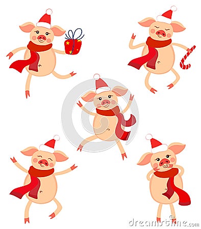 Cute New Year`s set of pigs in various poses. Cute pigs for the year of the pig Vector Illustration