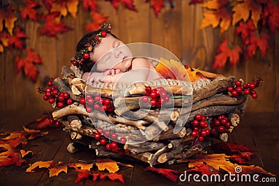 Cute newborn baby in a wreath of cones and berries in a basket with autumn leaves Stock Photo