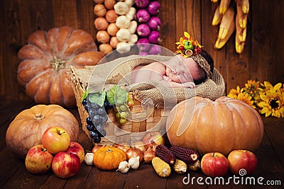 A cute newborn in a wreath of berries and fruits sleeps in a basket. Autumn harvest. Stock Photo