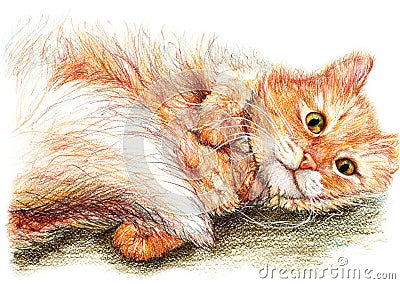 Cute nice ginger fluffy cat hand drawn art Stock Photo