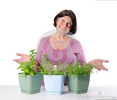 Cute older woman shows the pots with seedlings of herbs. Stock Photo