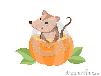Cute Opossum Sitting in Pumpkin, Adorable Wild Animal Vector Illustration Vector Illustration