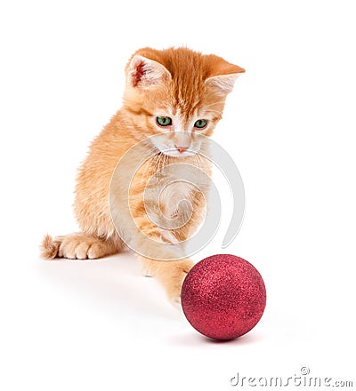 Cute Orange Kitten Playing with a Christmas Ornament on White Stock Photo